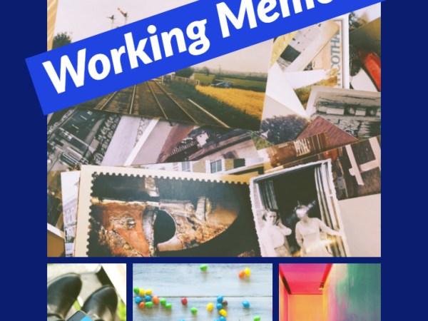 Building Working Memory