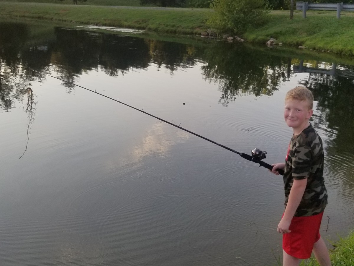 Virginia Family Trip