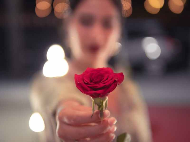 What Happened To&nbsp;Rose