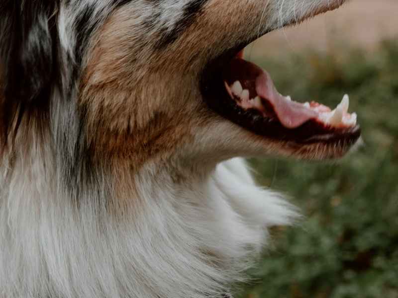 Miss Daisy May! Stop&nbsp;that!